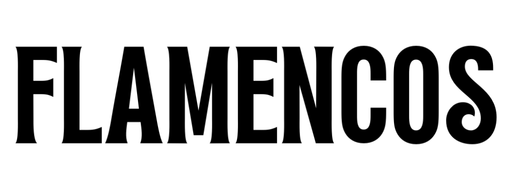 Flamencos Agencia de Marketing Digital y Diseño Web