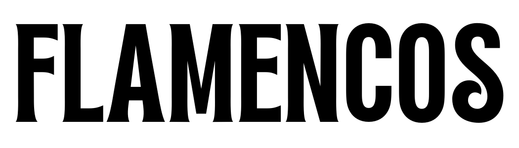 Flamencos Agencia de Marketing Digital y Diseño Web